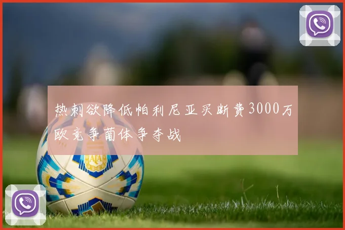 热刺欲降低帕利尼亚买断费3000万欧竞争葡体争夺战