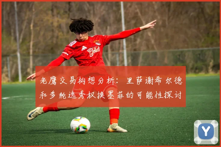 老鹰交易构想分析：里萨谢希尔德和多轮选秀权换墨菲的可能性探讨